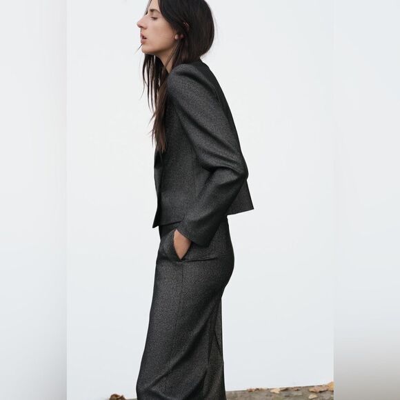 NWT Zara Grey Crop Blazer Short Shiny Size XS - Picture 5 of 12
